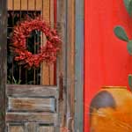 Ocotillo Cactus thumb